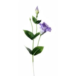 EUSTOMA SPRAY SUN357 POWDER VIOLET 2387