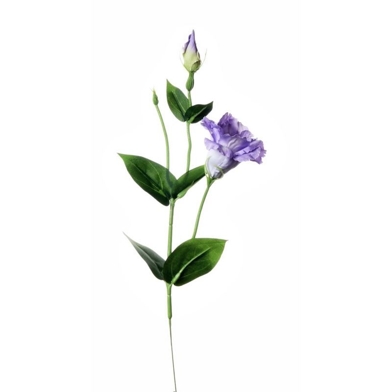 EUSTOMA SPRAY SUN357 POWDER VIOLET 2387
