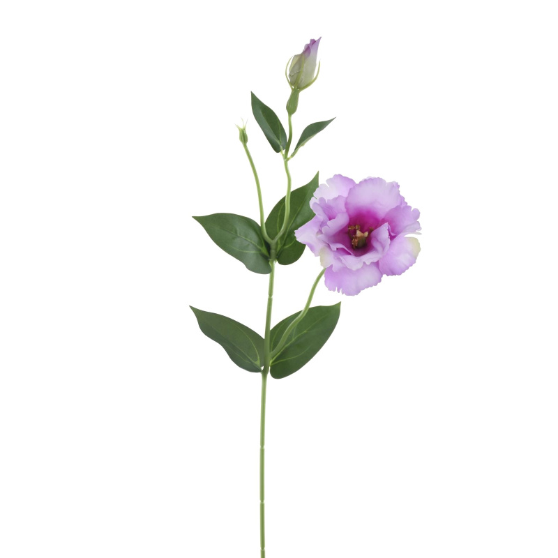 EUSTOMA NA PIKU 47CM SUN357 LT VIOLET