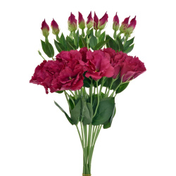 EUSTOMA NA PIKU 47CM SUN357 FUCHSIA