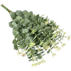 EUKALIPTUS GAŁĄZKA  60CM / 1749 POWDER GREEN