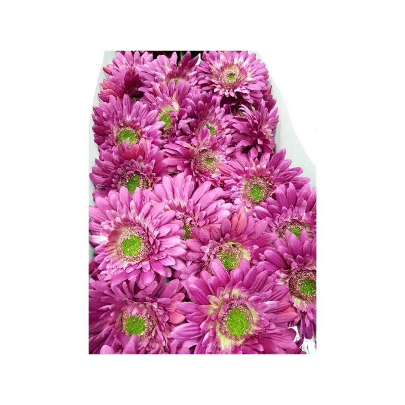 GERBERA POJ 47cm  SUN529 FUCHSIA