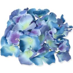 HORTENSJA GŁÓWKA 17CM / LE18 AZURE BLUE