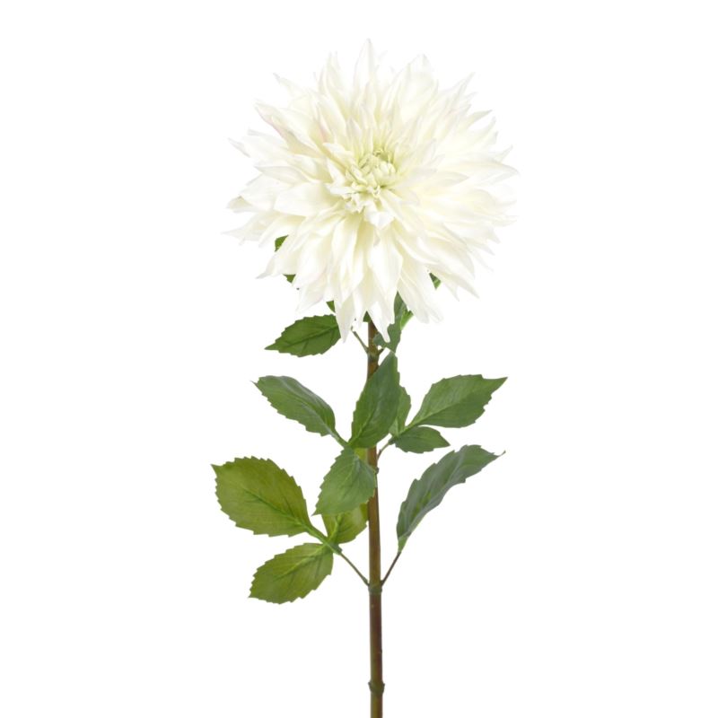 DALIA 95CM GIGANT REN2006 NATURAL TOUCH WHITE