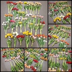 REST -50% TULIPANÓW GUMOWYCH MIX RODZAJ MIX KOLOR