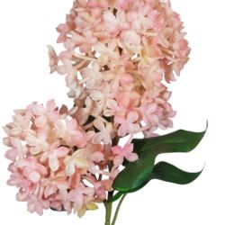 BEZ POJEDYNCZY 72 CM GUMOWY PINK