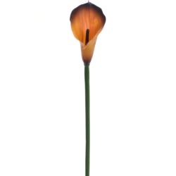 CALLA GUMA 72 CM  ANA1013 6 KOLORÓW  MIX2