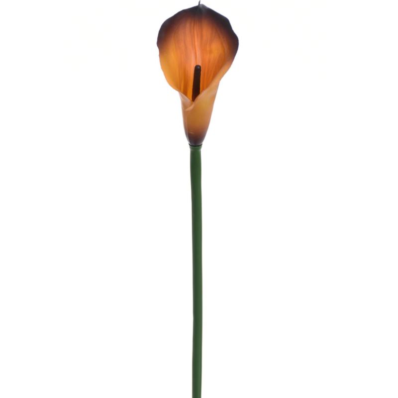 CALLA GUMA 72 CM  ANA1013 6 KOLORÓW  MIX2