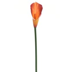 CALLA GUMA 72 CM  ANA1013 6 KOLORÓW  MIX2