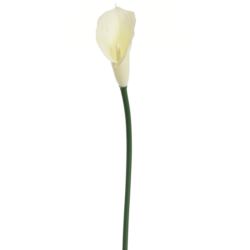 CALLA GUMA 72 CM  ANA1013 6 KOLORÓW  MIX2