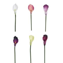 CALLA GUMA 72 CM  ANA1013 6 KOLORÓW  MIX3