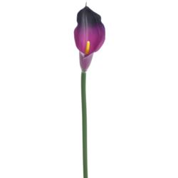 CALLA GUMA 72 CM  ANA1013 6 KOLORÓW  MIX3