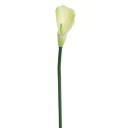 CALLA GUMA 72 CM  ANA1013 6 KOLORÓW  MIX3