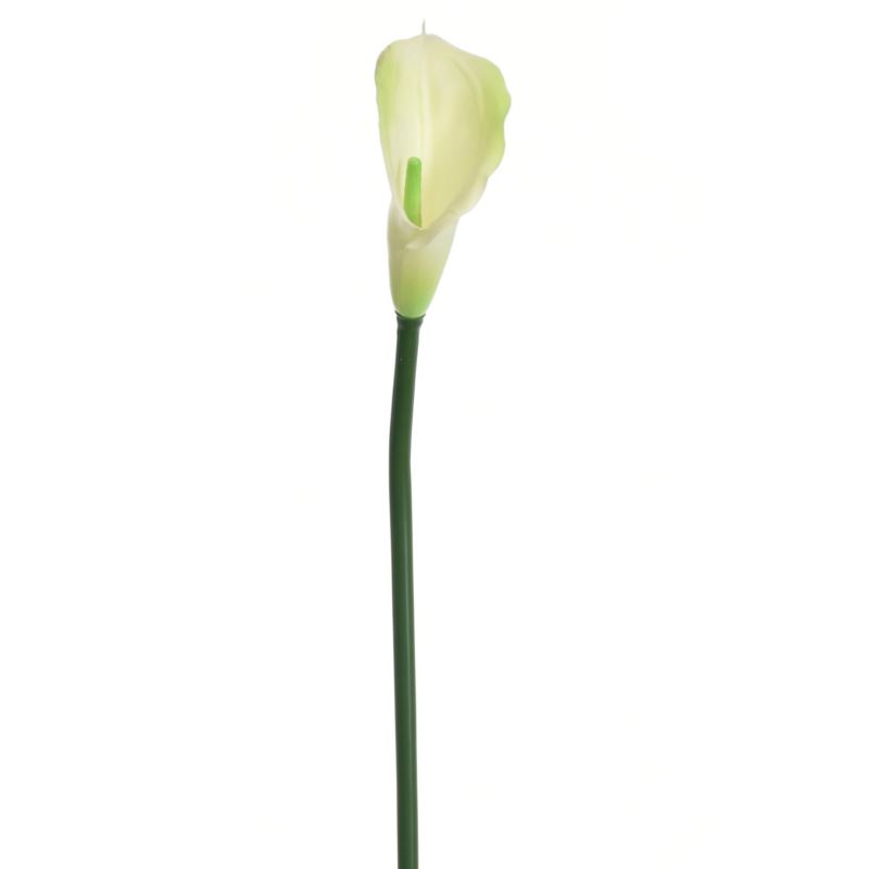 CALLA GUMA 72 CM  ANA1013 6 KOLORÓW  MIX3