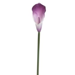 CALLA GUMA 72 CM  ANA1013 6 KOLORÓW  MIX3