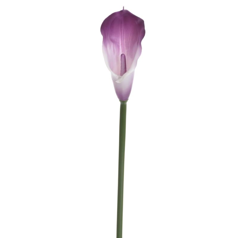 CALLA GUMA 72 CM  ANA1013 6 KOLORÓW  MIX3