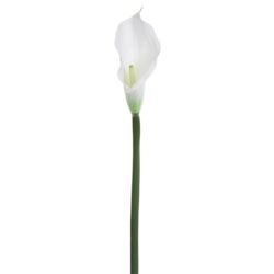 CALLA GUMA 72 CM  ANA1013 6 KOLORÓW  MIX3