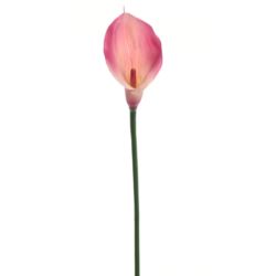 CALLA GUMA 72 CM  ANA1013 6 KOLORÓW  MIX3