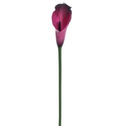 CALLA GUMA 72 CM  ANA1013 6 KOLORÓW  MIX3