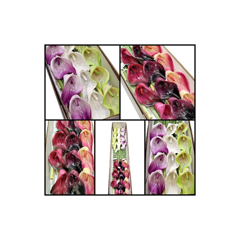 CALLA GUMA 72 CM  ANA1013 6 KOLORÓW  MIX3