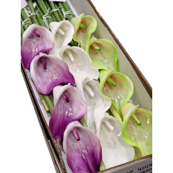 CALLA GUMA 72 CM  ANA1013 6 KOLORÓW  MIX3