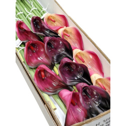 CALLA GUMA 72 CM  ANA1013 6 KOLORÓW  MIX3