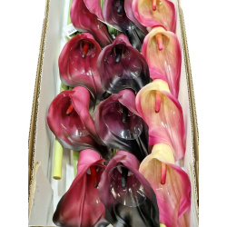CALLA GUMA 72 CM  ANA1013 6 KOLORÓW  MIX3