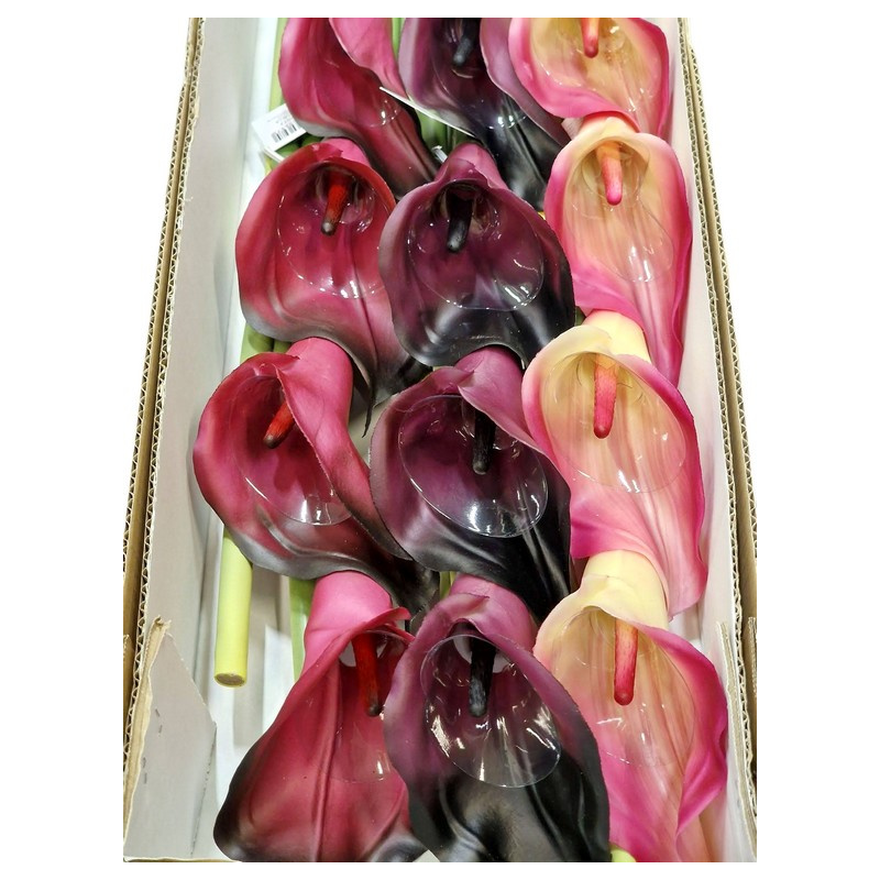CALLA GUMA 72 CM  ANA1013 6 KOLORÓW  MIX3