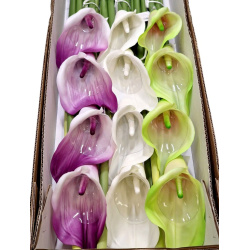 CALLA GUMA 72 CM  ANA1013 6 KOLORÓW  MIX3