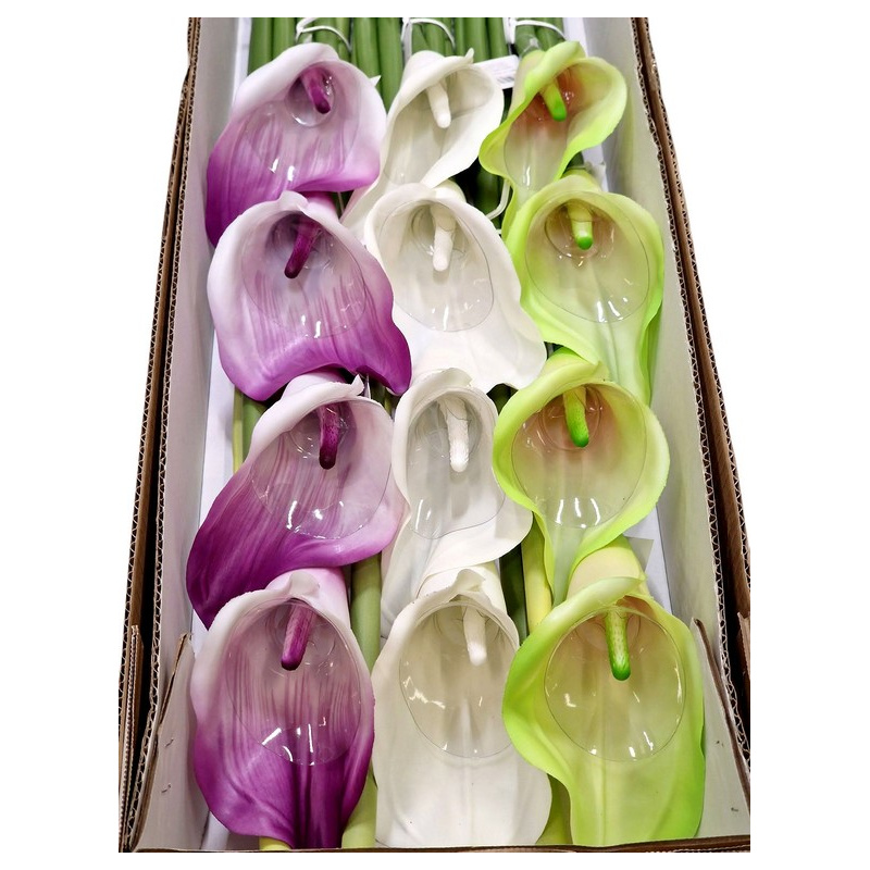 CALLA GUMA 72 CM  ANA1013 6 KOLORÓW  MIX3