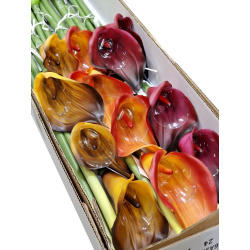 CALLA GUMA 72 CM  ANA1013 6 KOLORÓW  MIX2