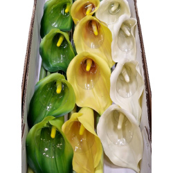 CALLA GUMA 72 CM  ANA1013 6 KOLORÓW  MIX2