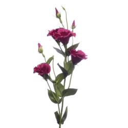 EUSTOMA GAŁĄZKA 83CM SUN345 FUCHSIA
