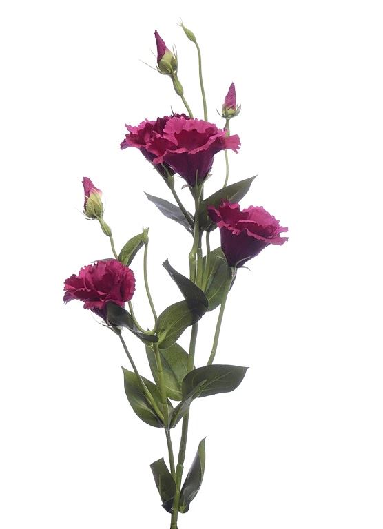 EUSTOMA GAŁĄZKA 83CM SUN345 FUCHSIA