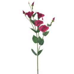 EUSTOMA GAŁĄZKA 83CM SUN345 FUCHSIA