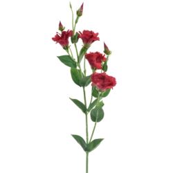 EUSTOMA GAŁĄZKA 83CM SUN345 RED GREEN