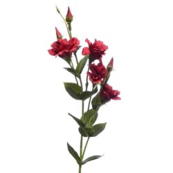 EUSTOMA GAŁĄZKA 83CM SUN345 RED GREEN