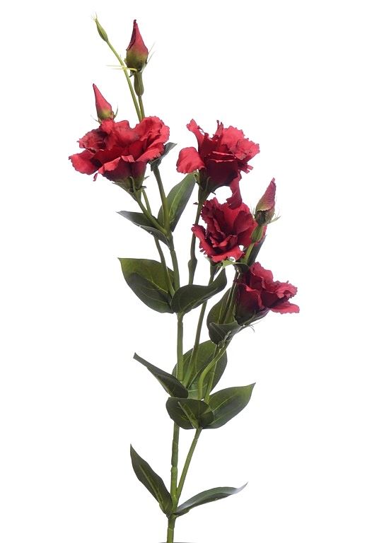 EUSTOMA GAŁĄZKA 83CM SUN345 RED GREEN