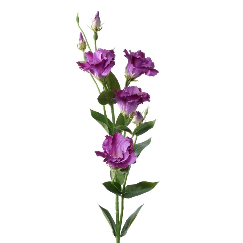 EUSTOMA GAŁĄZKA 83CM SUN345 LT VIOLET DR VIOLET