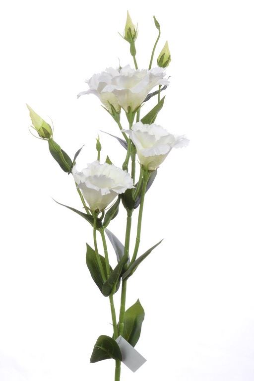 EUSTOMA GAŁĄZKA 83CM SUN345 WHITE