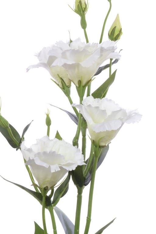 EUSTOMA GAŁĄZKA 83CM SUN345 WHITE