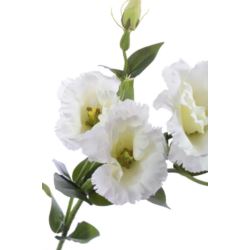 EUSTOMA GAŁĄZKA 83CM SUN345 WHITE