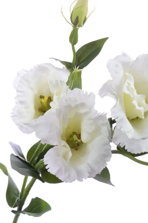 EUSTOMA GAŁĄZKA 83CM SUN345 WHITE