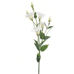 EUSTOMA GAŁĄZKA 83CM SUN345 WHITE