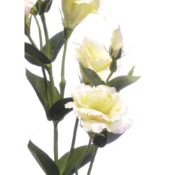 Eustoma gałązka 83cm sun345 LT.PINK LT.GREEN