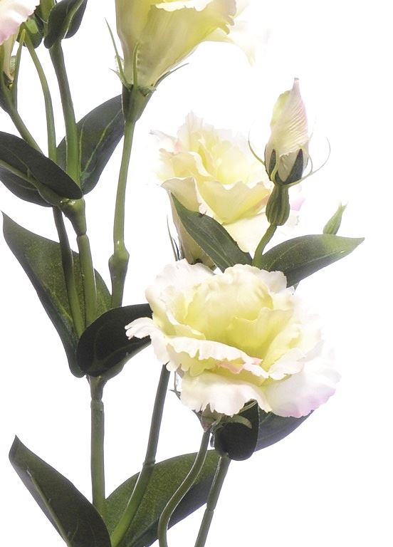 Eustoma gałązka 83cm sun345 LT.PINK LT.GREEN