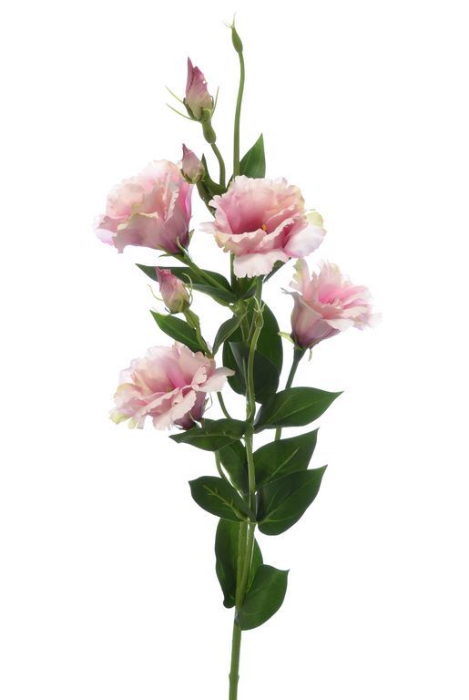 Eustoma gałązka 83cm sun345 deep pink