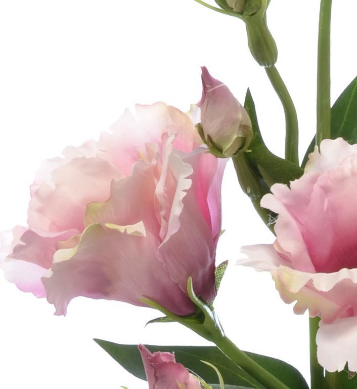 Eustoma gałązka 83cm sun345 deep pink