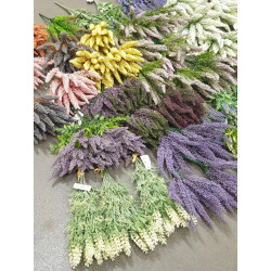 REST LAWENDOWO - WRZOSOWY -50% MIX