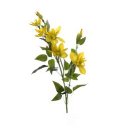 KLEMATIS GAŁĄZKA 80CM SUN508 YELLOW